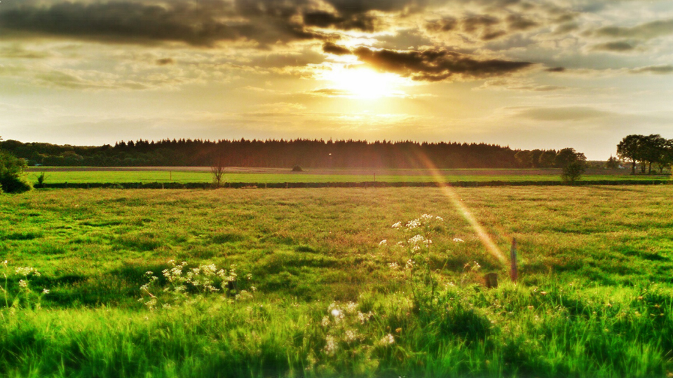 Neue Internetseite für Rheinberg-Millingen