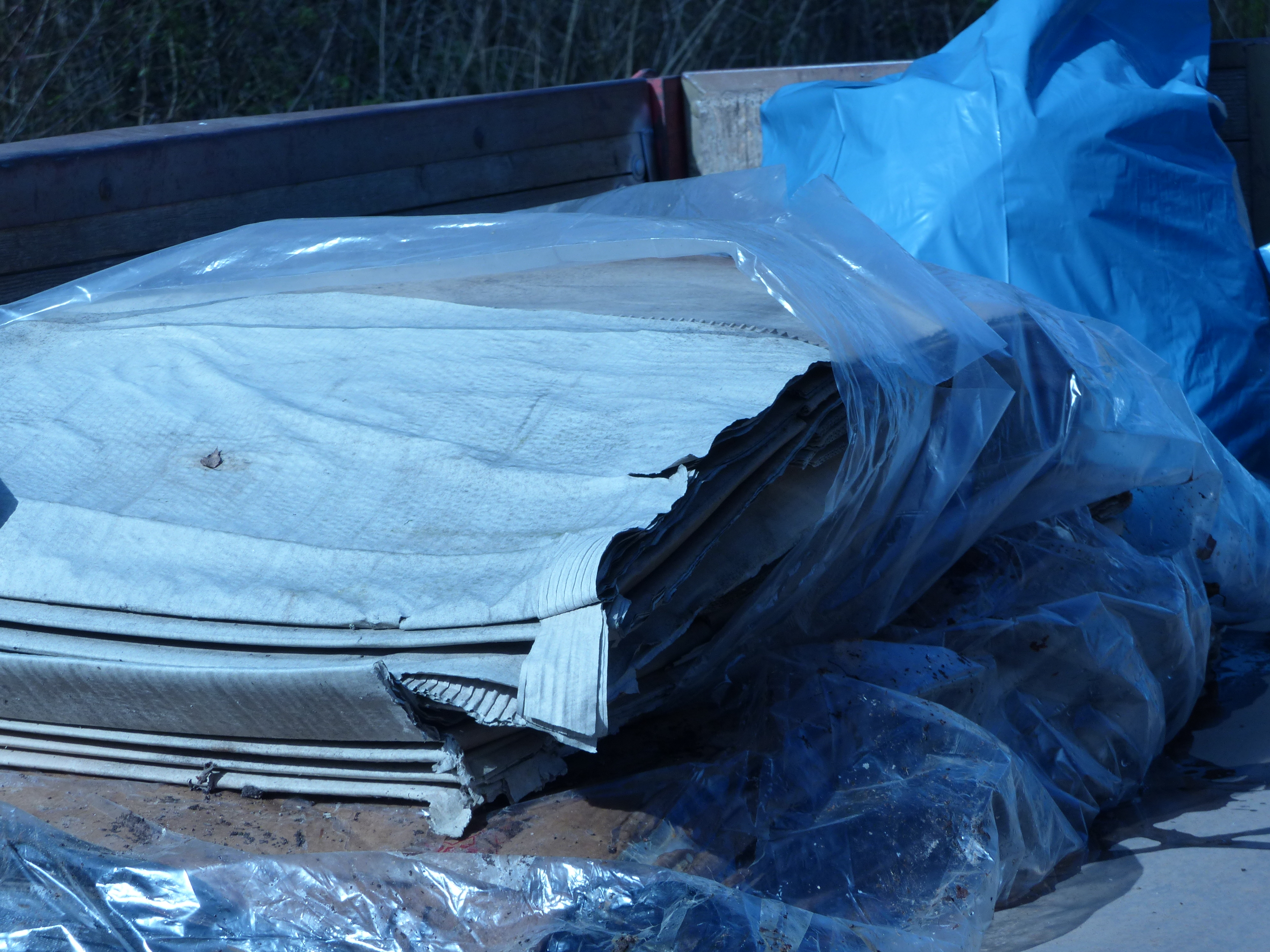 Müllsammelaktion findet wieder statt